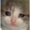 Cats 2 Electric Boogaloo 7