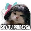 SOY TU PRINCESA