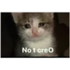 No t creo