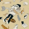 kittys Girls 13