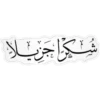 Arabic Z 11