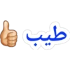 Arabic Z 12