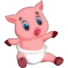 Pig 8
