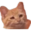 Cats 2 Electric Boogaloo 8