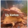 Uy kietos
