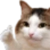 Cats 2 Electric Boogaloo 9