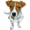 Dog Patron DSNS Ukraine 9