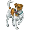Dog Patron DSNS Ukraine 10