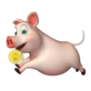 Pig 11