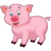 Pig 12