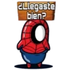 ¿Llegaste
bien?