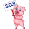 Pig 14