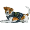 Dog Patron DSNS Ukraine 12