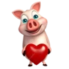 Pig 15