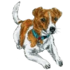 Dog Patron DSNS Ukraine 14