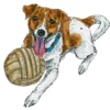 Dog Patron DSNS Ukraine 15