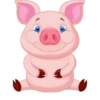Pig 16