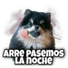 ARRE PASEmos
LA NOCHE