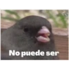 No puede ser