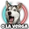 OLA VERGA