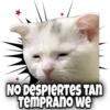 NO DESPIERTES TAN
TEMPRANO we