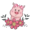 Pig 20