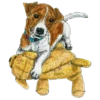 Dog Patron DSNS Ukraine 17