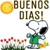 BUENOS DIAS 44 29