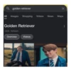 golden retriever
All Images Shopping Videos
Golden Retriever
nick nelson
Overview
Videos
×
News Maps
⠀
