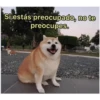 Si estás preocupado, no te
preocupes.