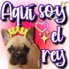 Dog & Frases    C☆ 6