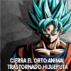 Dragon ball Z  2 6