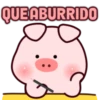 Puerquitos mix. 5