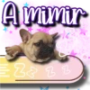 Dog & Frases    C☆ 7