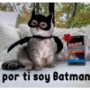 gatito lindo  ️ 5