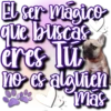 Dog & Frases    C☆ 8