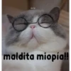 gatito lindo  ️ 6