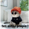 gatito lindo  ️ 8