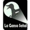 Stickers variados 8