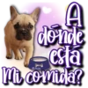 Dog & Frases    C☆ 11