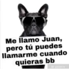 Me llamo Juan,
pero tú puedes
llamarme cuando
quieras bb
@pixers