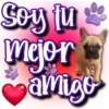 Dog & Frases    C☆ 15