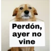 Perdón,
ayer no
vine