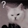 ?