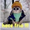 gatito lindo  ️ 10