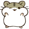 Chinese Hamsters   (C) 7