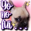 Dog & Frases    C☆ 16