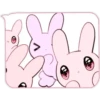 Pink y Pinkbunny    Clásica 5