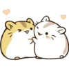 Chinese Hamsters   (C) 9