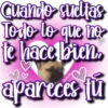 Dog & Frases    C☆ 17